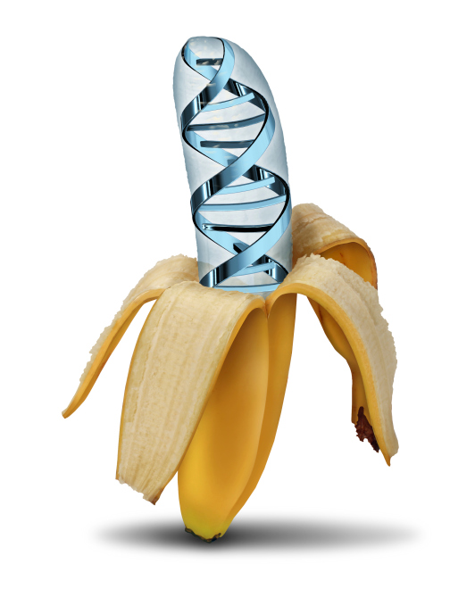 genetically engineered food