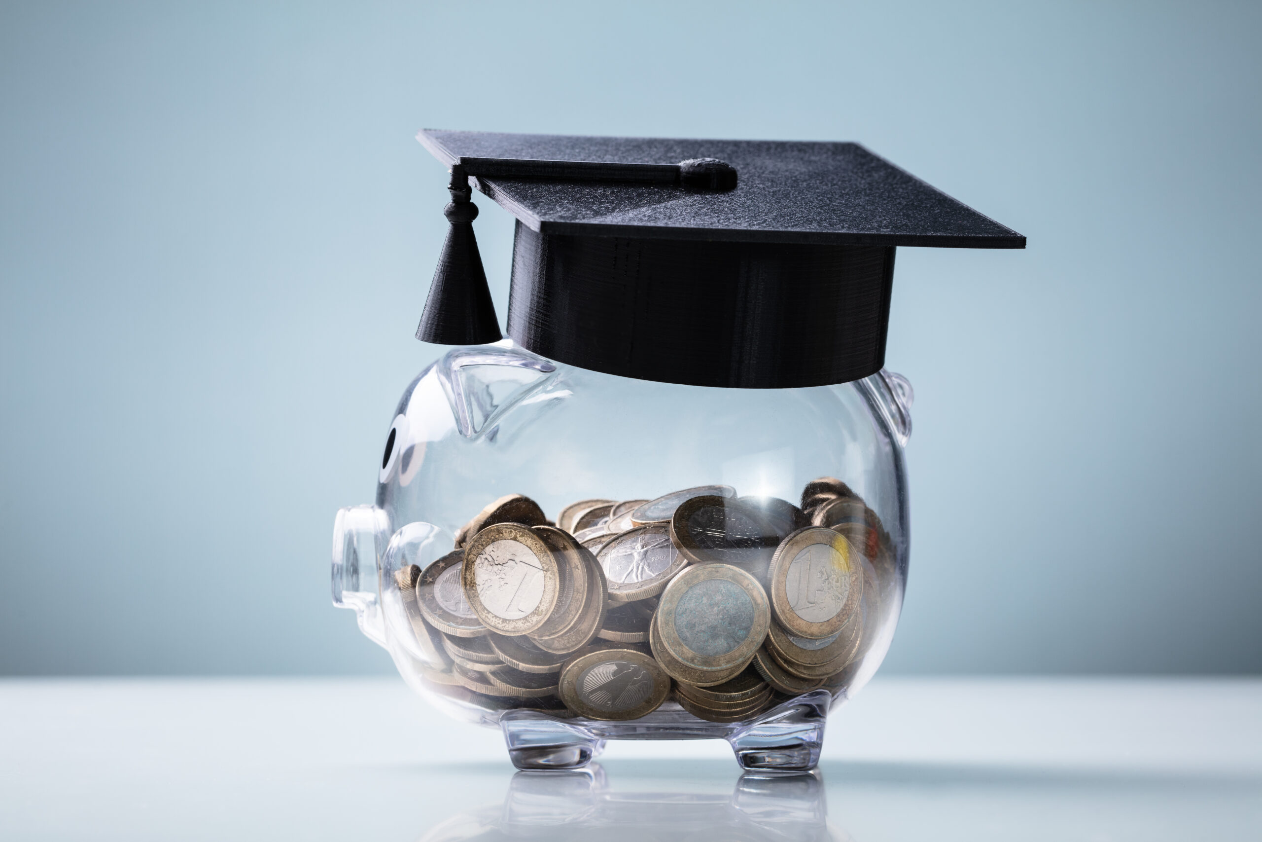 economic education socialism piggy bank pennies graduation cap