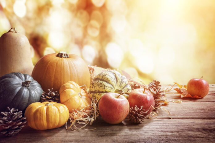 Thanksgiving, fall or autumn greeting background with pumpkin on table