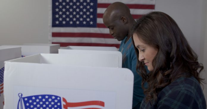 MS side angle view Caucasian woman and African American man casting votes in booths at polling station. Election.