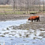 Senate Votes to Overturn Biden’s Waters of the U.S. Rule WOTUS