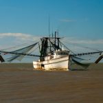 Offshore Wind and the Stress on Commercial Fishermen fishermen sue