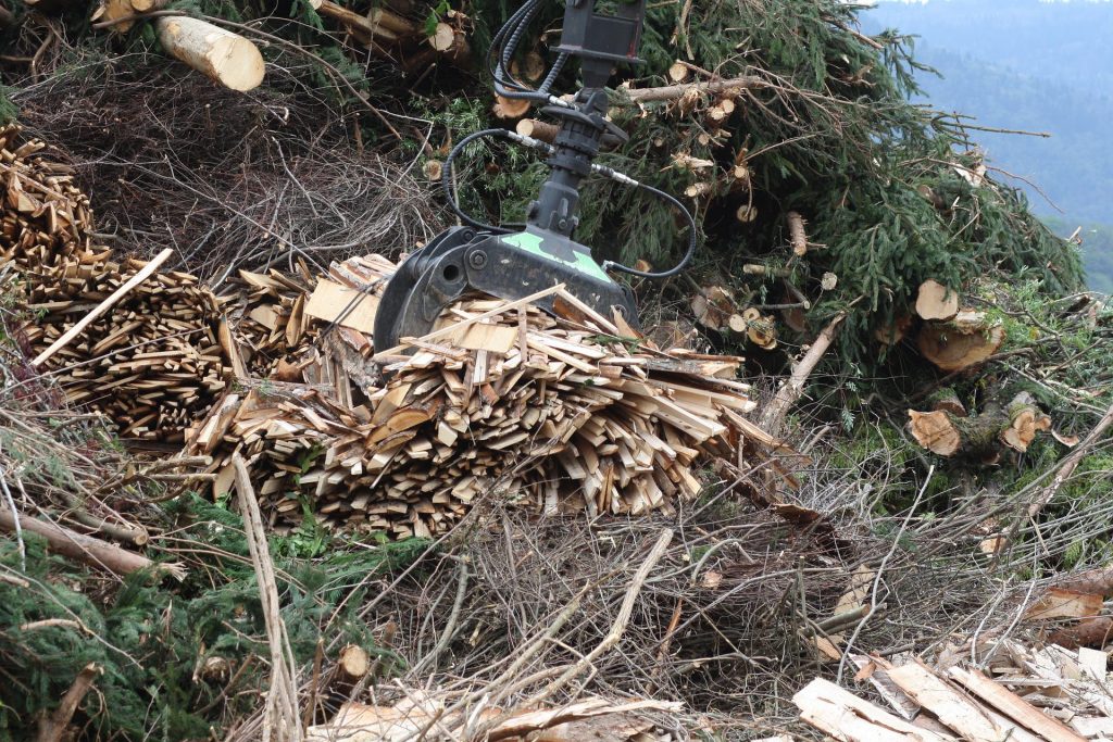 biomass wood