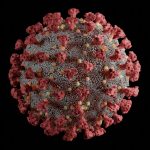 John Stossel: My COVID Experience Viral Research related to COVID-19