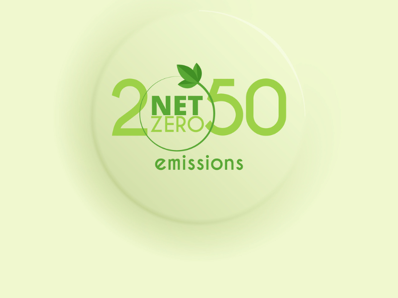 net zero 2050