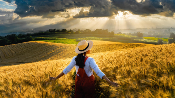 AI woman in wheat field
