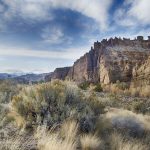 Biden Administration Designates Lizard as Endangered After Texas Expanded Conversation